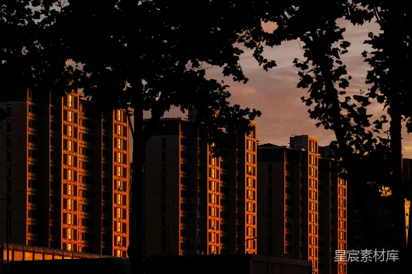 高清摄影 夕阳的金色光辉映照在被暗树框住的建筑物上。