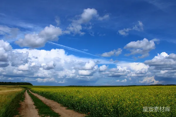黄-field中一条穿过蓝色天空的土路