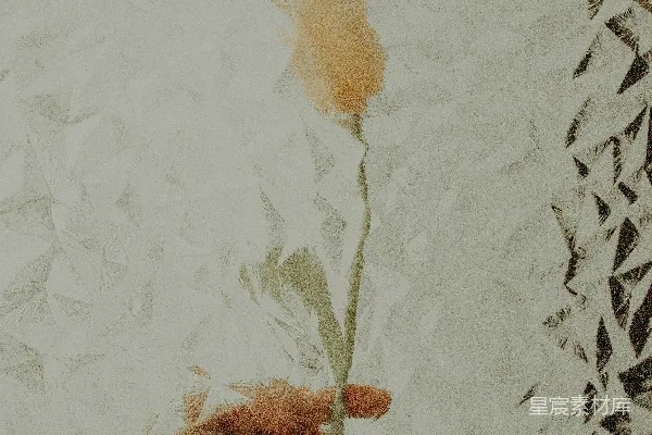 高清摄影 手里拿着一朵花的人