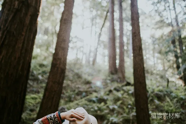 高清摄影 戴棕色帽子的人在森林中