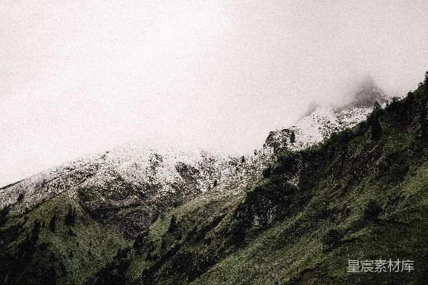 高清摄影 白雪和绿树覆盖的冰川山脉