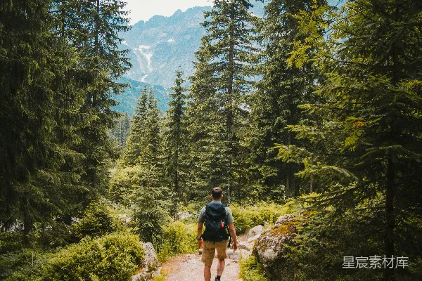 高清摄影 走在树林间的路上的人