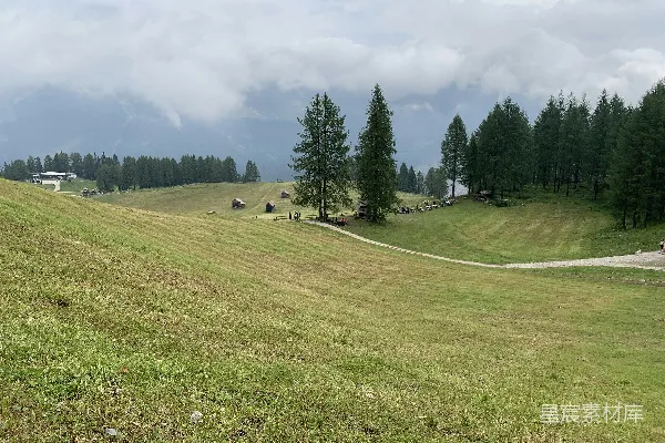 高清摄影 绿色草地