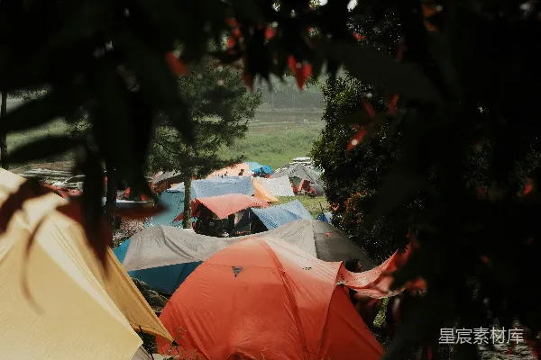 高清摄影 营地里透过绿色树叶看到的许多五颜六色的帐篷。