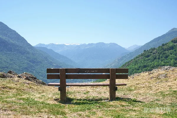 高清摄影 一张木制长凳坐落在郁郁葱葱的山坡上。