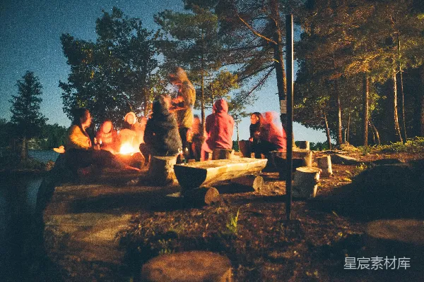 高清摄影 一群人在夜晚围着篝火和树木旁边。