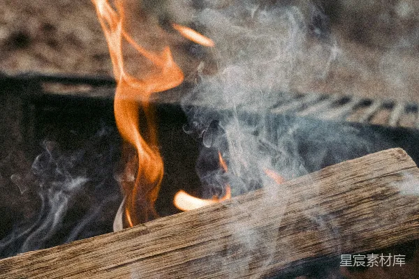 高清摄影 森林中间的火灾