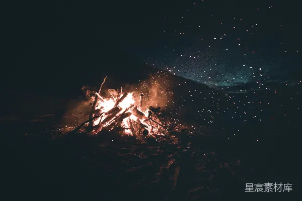 高清摄影 夜晚黑沙滩上的棕色木材