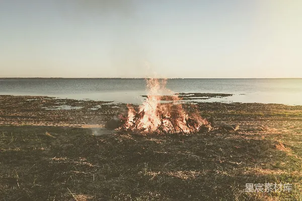 高清摄影 白天，水边的棕色沙滩上，可以看到棕色和白色交织的火焰。