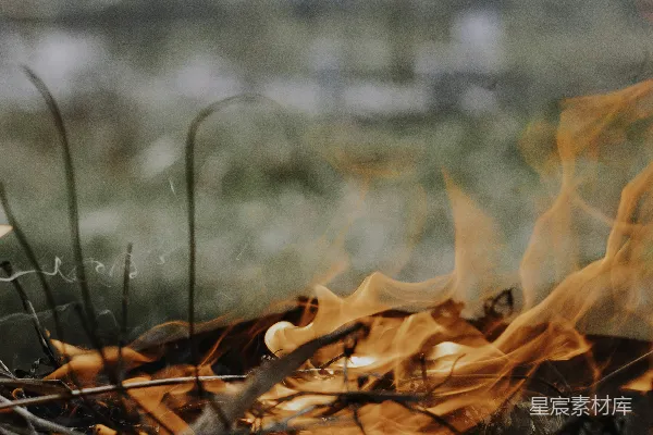 高清摄影 白天，棕色草地上发生火灾