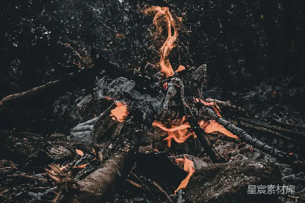高清摄影 森林中央燃烧的火焰