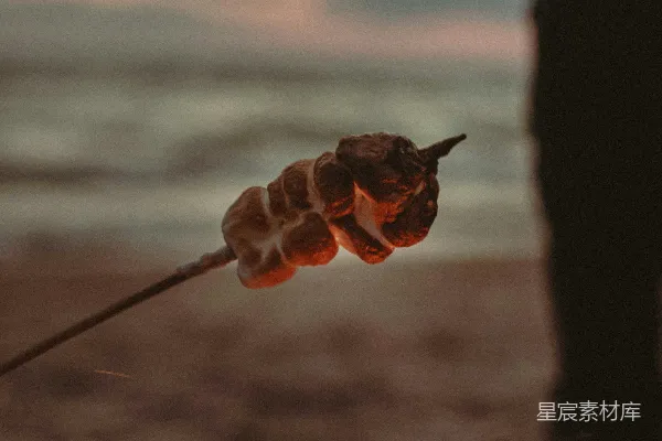 高清摄影 棕色干花在微距镜头中拍摄