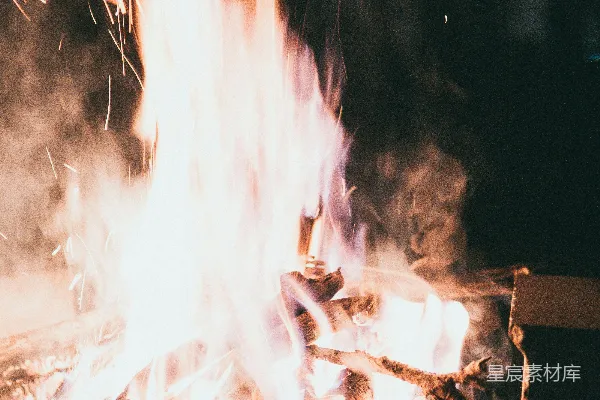 高清摄影 夜间烧木头