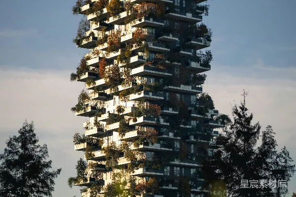 满是植物的高大建筑
