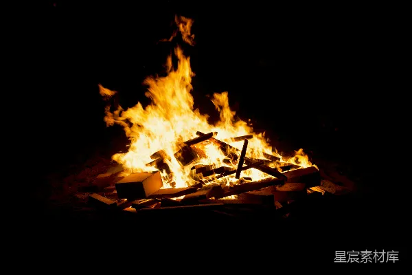 高清摄影 夜间焚烧森林