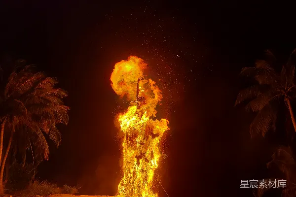 高清摄影 夜晚，棕榈树之间突然爆发了大火。