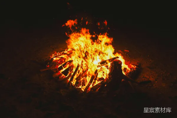 高清摄影 一个篝火上有一只鸟栖息着。