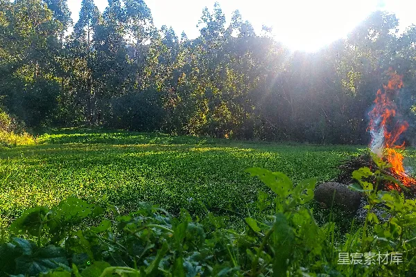 高清摄影 阳光照耀在一片草地上，有一处小火堆。