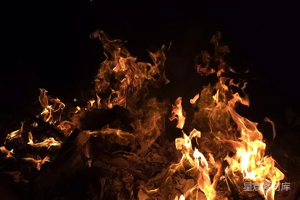 高清摄影 篝火在黑暗中熊熊燃烧。