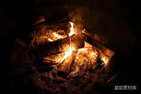 高清摄影 在夜间篝火中燃烧木柴