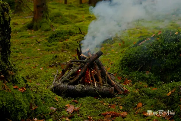 高清摄影 苔藓覆盖的森林空地上燃烧着篝火