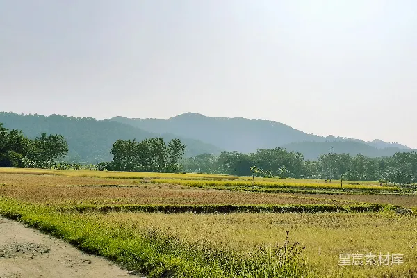 高清摄影 山脚下白天的绿色草地附近