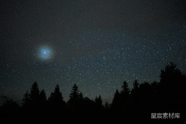 满天星斗和树木的夜空