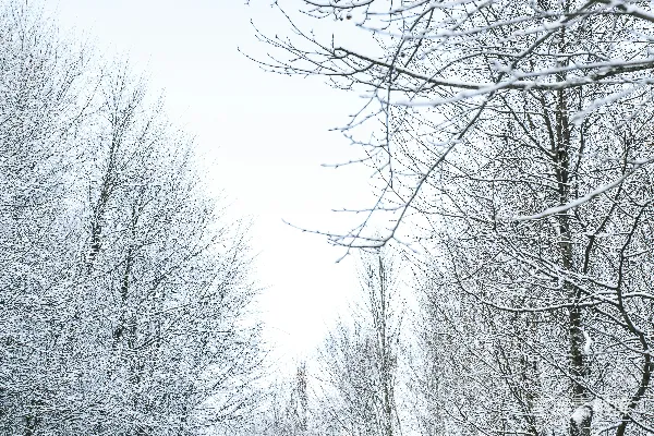 一个走在覆满白雪小径上的人