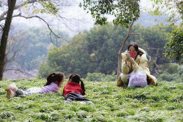 高清摄影 一个女人和两个孩子坐在草地上。