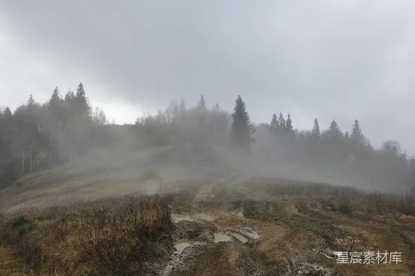 高清摄影 一片雾气笼罩的山坡上有树木的景象