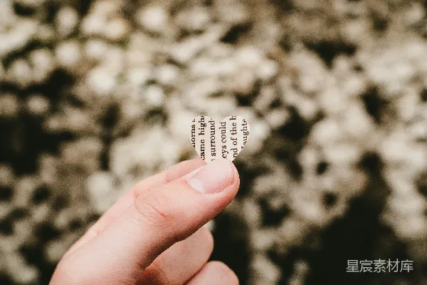 高清摄影 灰度照片中的心形装饰品