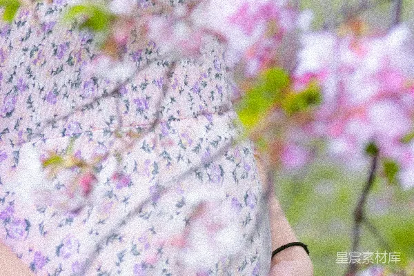 高清摄影 一位孕妇站在花田里