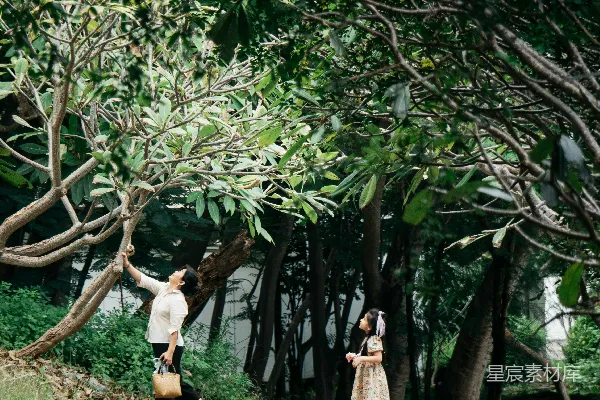 高清摄影 一个穿着白色长袖衬衫和黑色裤子的女人站在棕色土壤的小径上，周围是