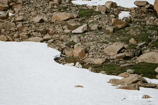 高清摄影 一个滑雪板手正在滑下雪地的山坡。