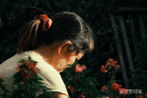 高清摄影 穿着白色衬衫的女子站在白天的绿色植物旁。