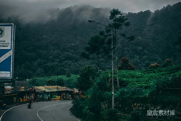 高清摄影 树林附近的路