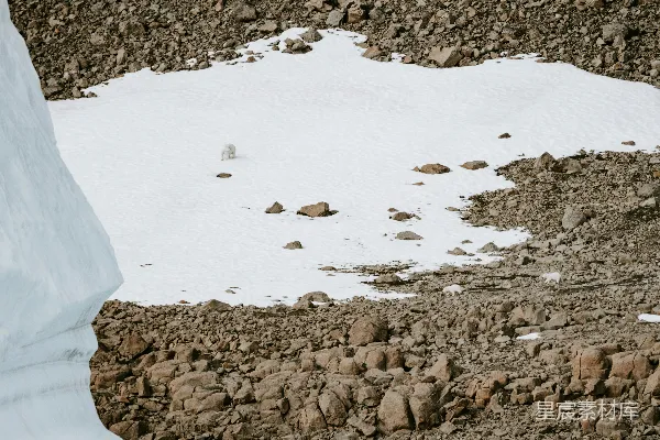 高清摄影 一个滑雪板运动员正在滑下雪地的小山。