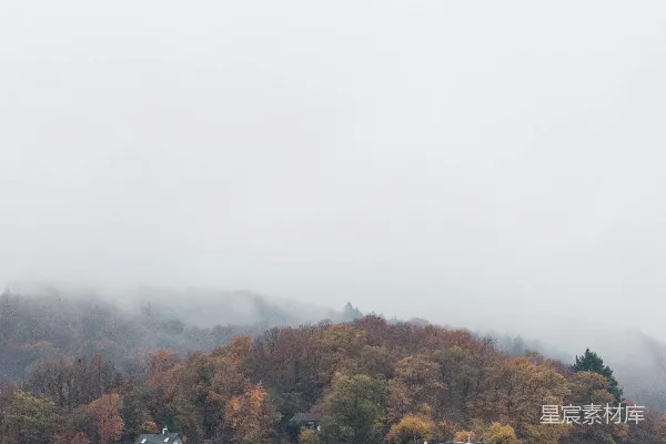高清摄影 一片林地中的几栋房子