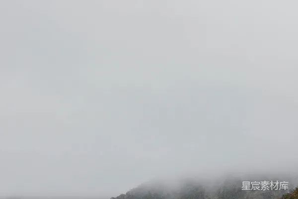 高清摄影 一片被树木和小山环绕的水域。