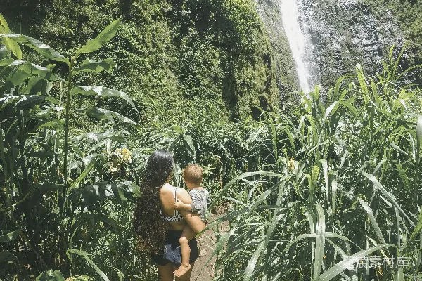 高清摄影 一位抱着婴儿的女人正走在瀑布前的植物田里。