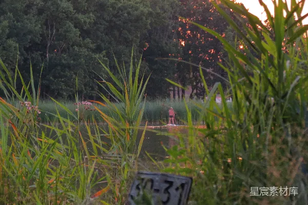 高清摄影 水边的绿色草地在白天