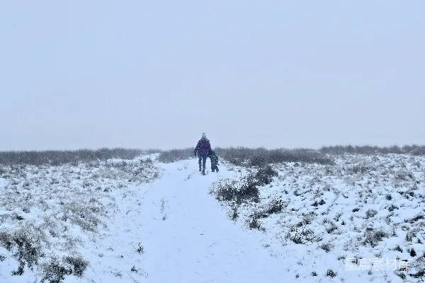 高清摄影 身穿黑色夹克的人在白天的积雪覆盖的田野上行走。
