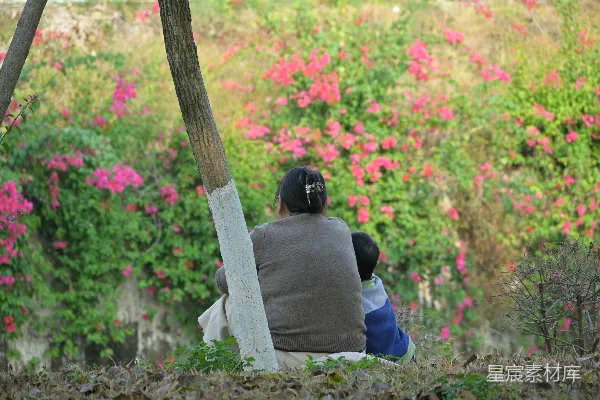 高清摄影 女人和孩子坐在盛开的粉红色花朵旁。