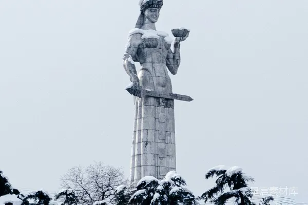高清摄影 卡特利斯大公雕像矗立在覆盖着积雪的冬树之上。