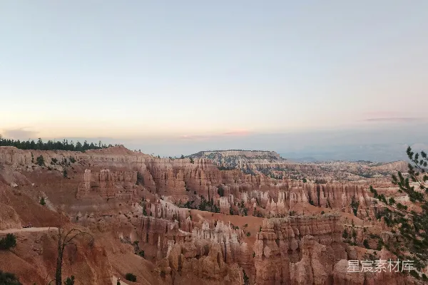 高清摄影 峡谷的风景，前景中有树木。