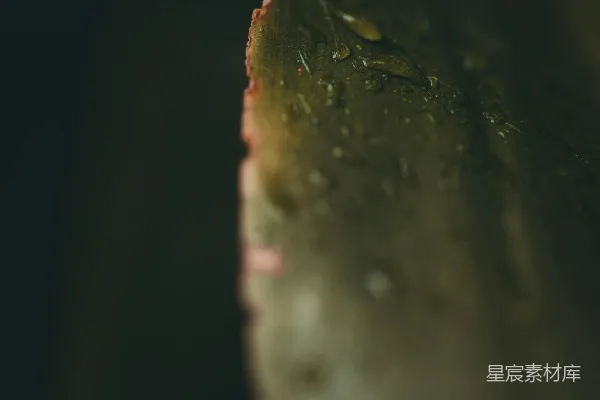 高清摄影 红色和棕色的混凝土墙