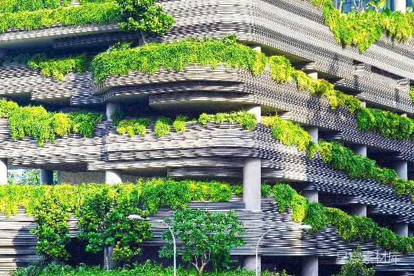 高清摄影 灰色混凝土建筑覆盖在树木之下