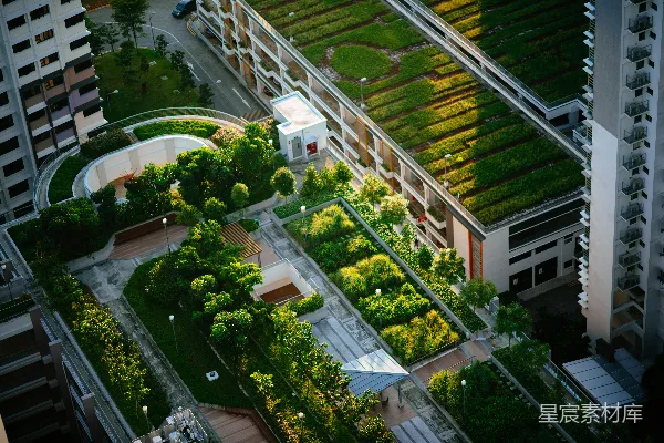 高清摄影 建筑的鸟瞰图，树木环绕。