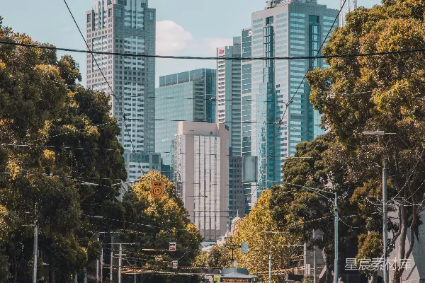 高清摄影 白天，高大楼房旁的道路上的汽车