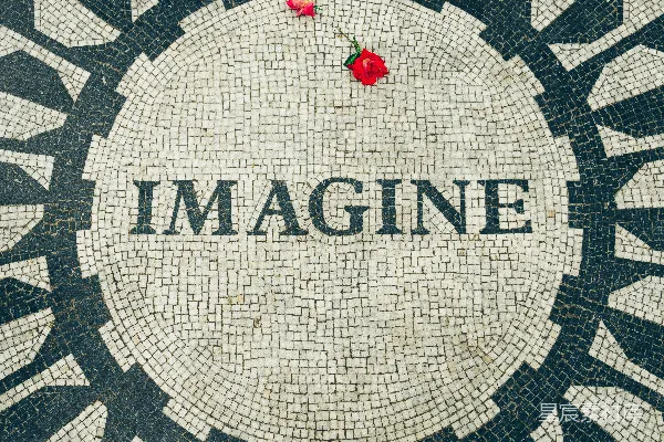 高清摄影 Imagine文本中的红玫瑰。